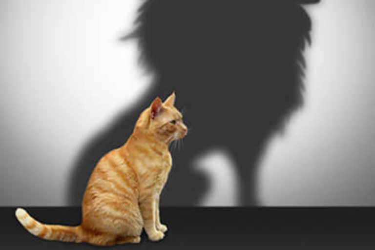 „Ma armastan ja väärtustan ennast“ paneel “Enesehinnang”