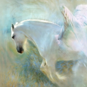 FFT Free Falling Technique® Akadeemia